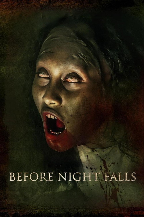 Before Night Falls official trailer poster
