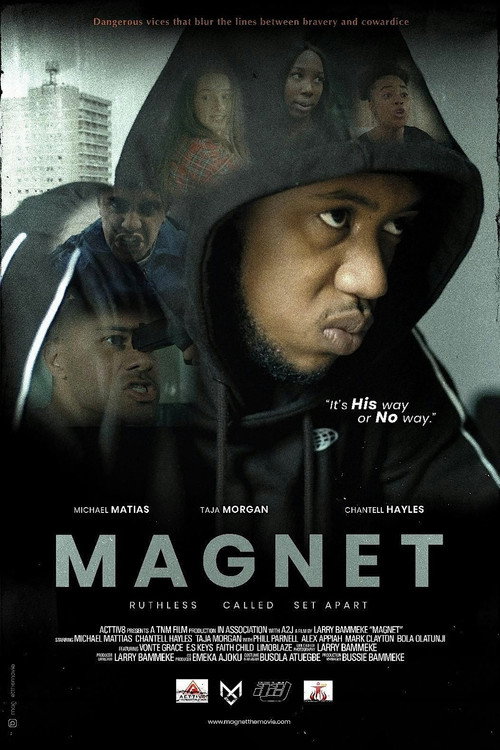 Magnet official trailer poster