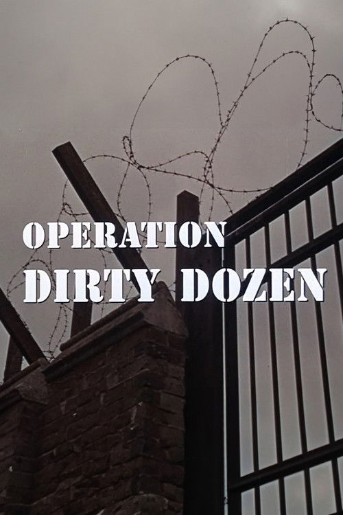 Operation Dirty Dozen official trailer poster