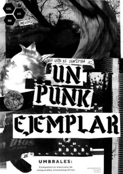 An Exemplary Punk official trailer poster