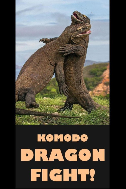 Komodo Dragon Fight! official trailer poster