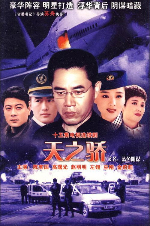 中国空姐 official trailer poster