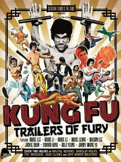Kung Fu Trailers Of Fury official trailer poster