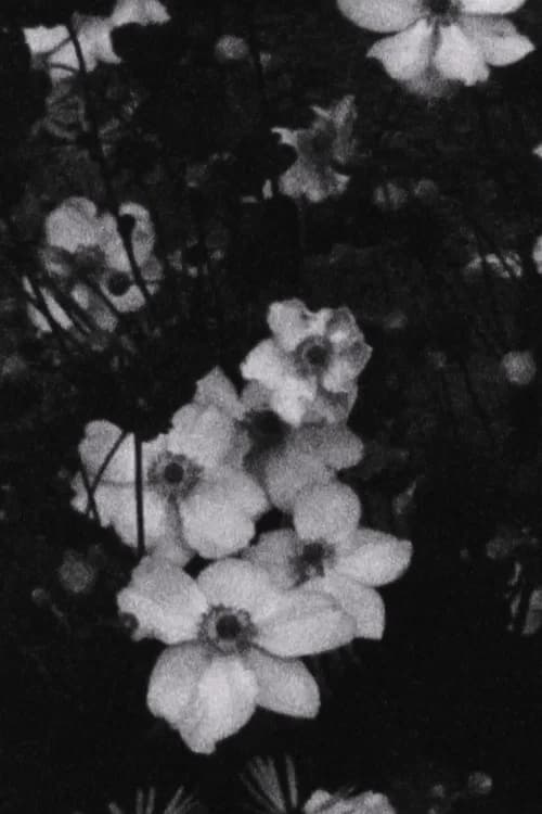 Für P. (Weiße Blumen) official trailer poster