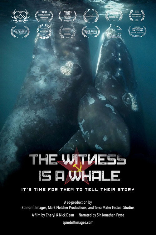 The Witness is a Whale official trailer poster