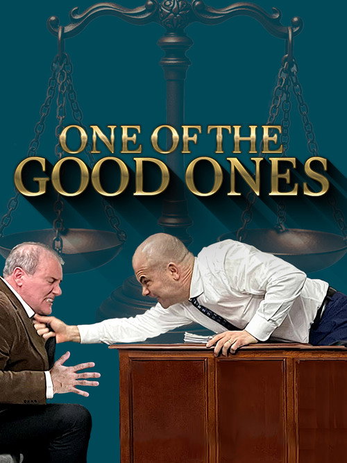 One of the Good Ones official trailer poster
