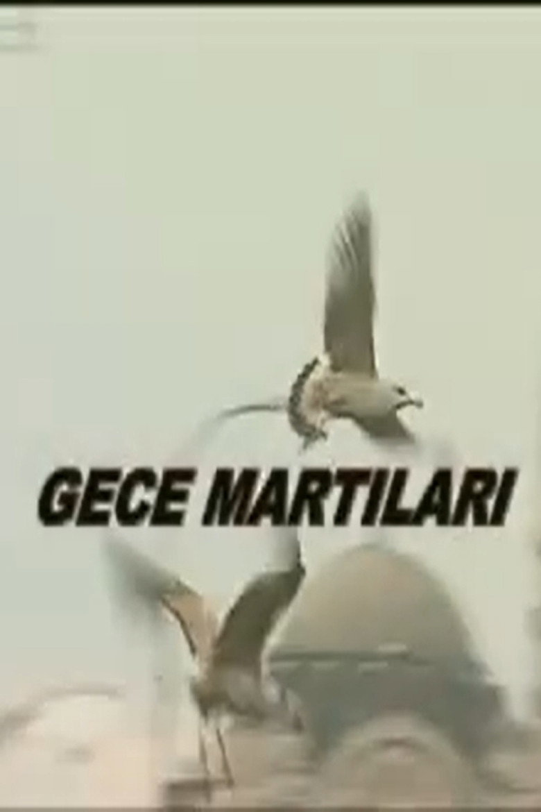 Gece Martıları background