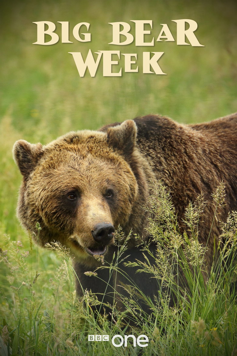 Big Bear Week background