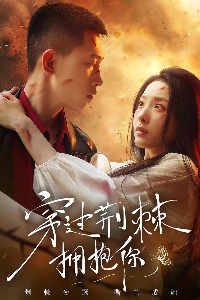 穿过荆棘拥抱你 background