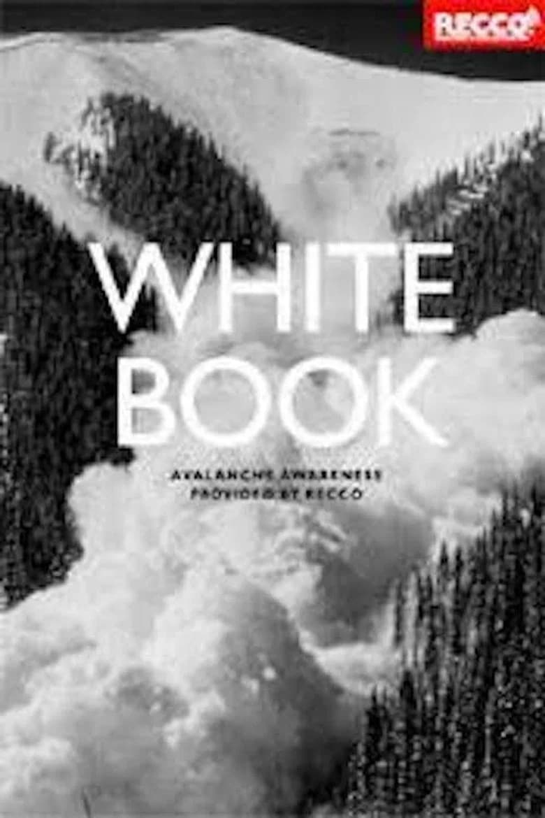 Whitebook background
