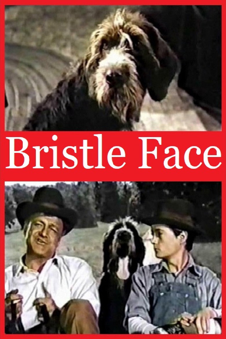 Bristle Face background