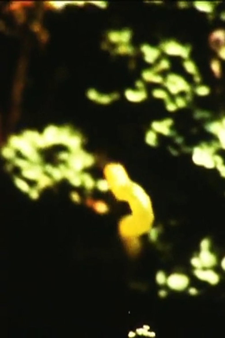 Caterpillar background