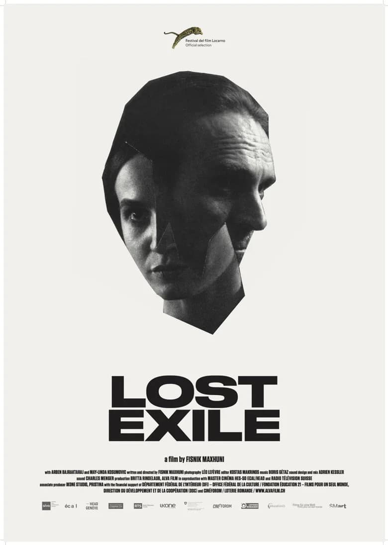 Lost Exile background