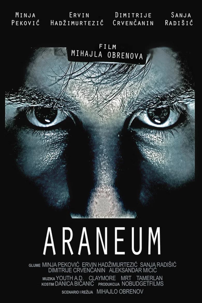 Araneum background