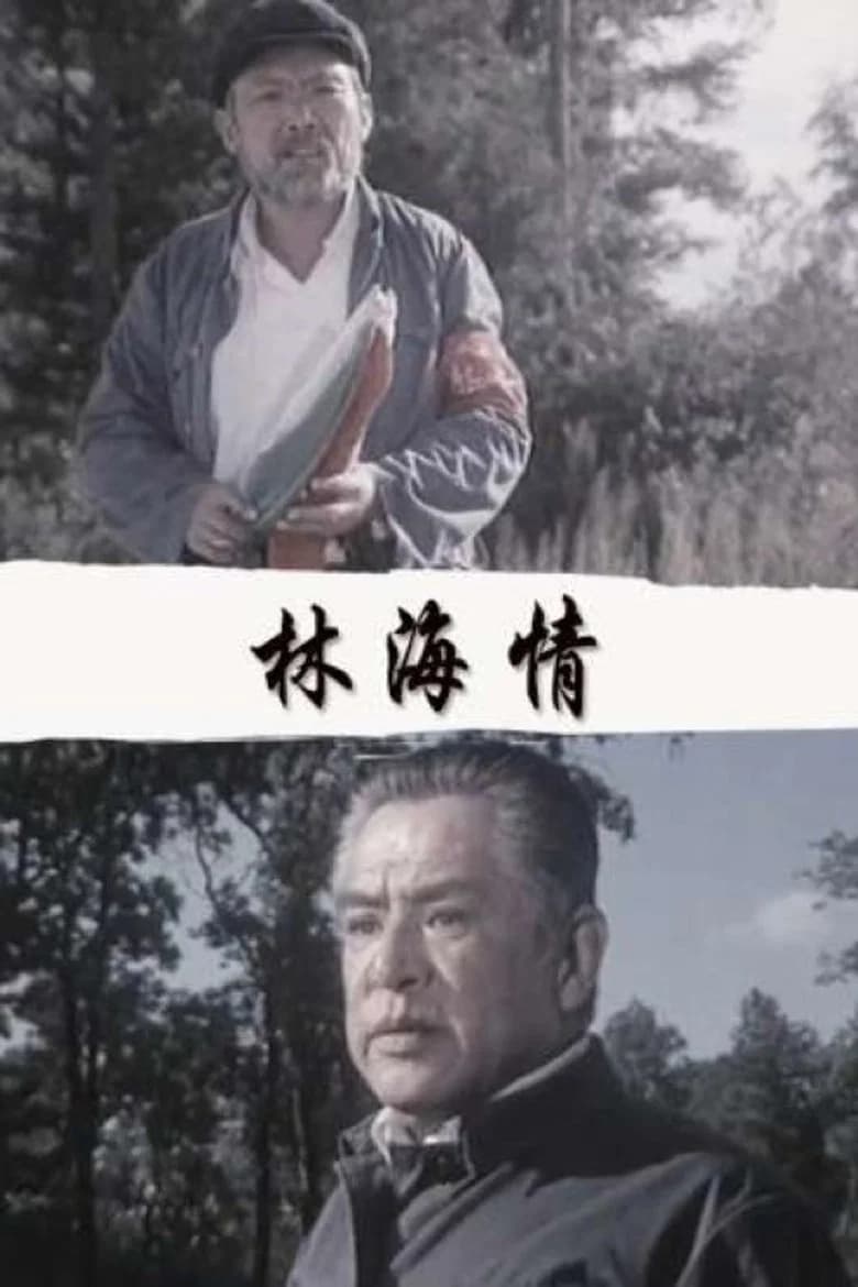林海情 background