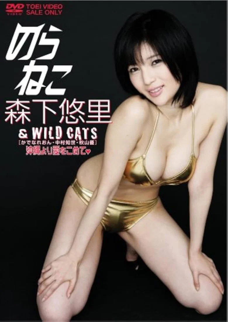 のらねこ 森下悠里 & WILD CAT’S/かでなれおん・中村知世・秋山優 沖縄より愛をこめて background
