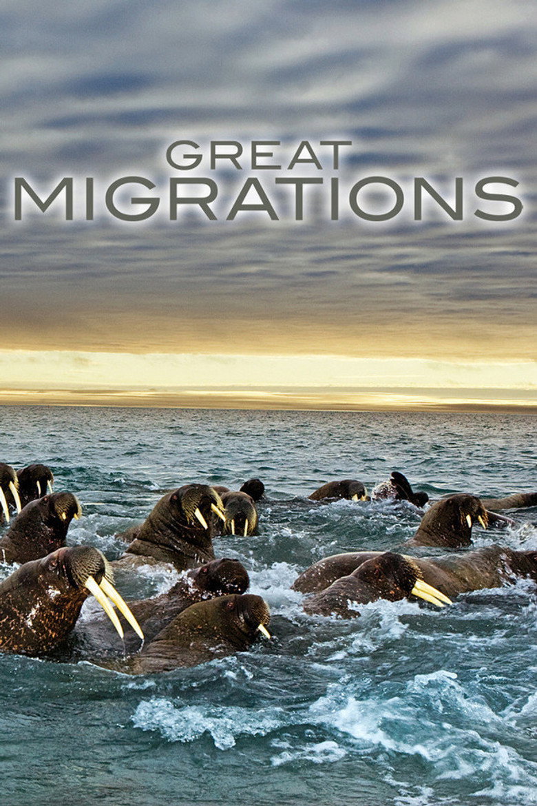 GREAT_MIGRATIONS-Disc1 background