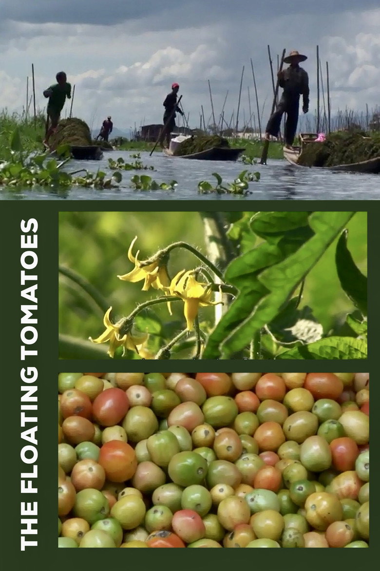 The Floating Tomatoes background