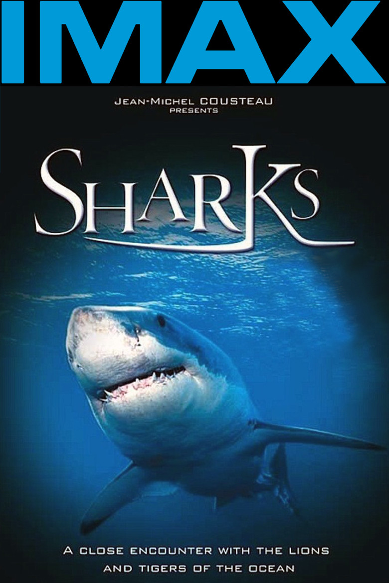 Sharks 3D backdrop preview