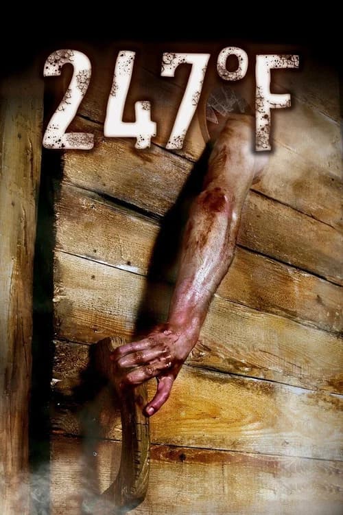 247°F official trailer poster