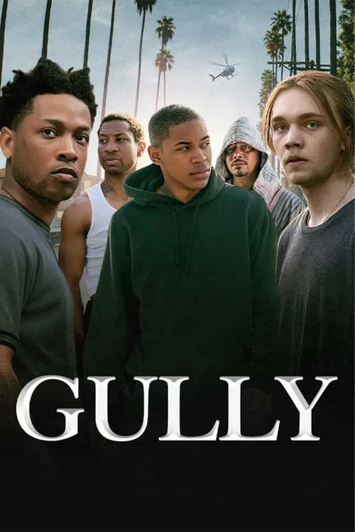 Gully official trailer poster