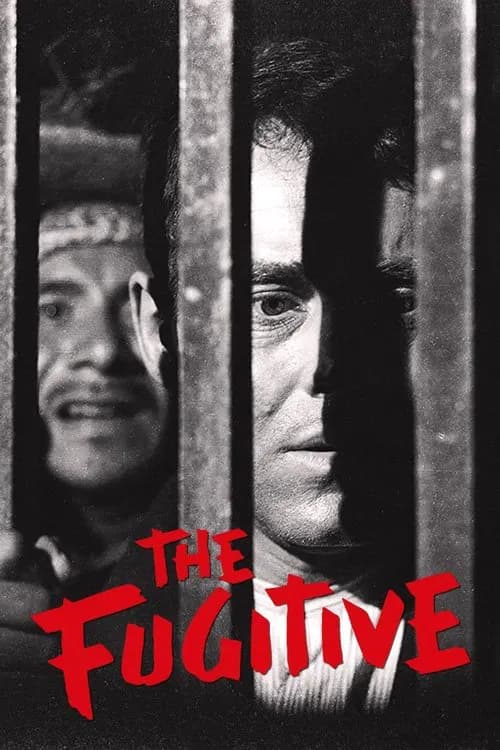 The Fugitive official trailer poster