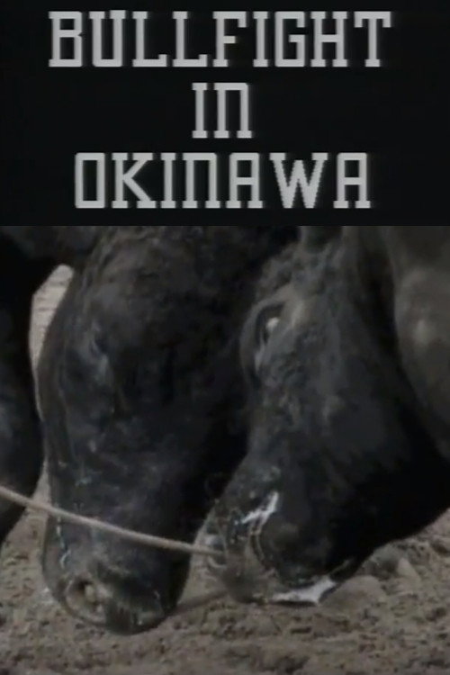 Bullfight in Okinawa official trailer poster