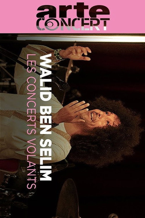 Walid Ben Selim @ Journeys Through Music official trailer poster