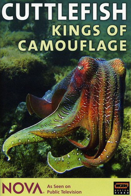 Cuttlefish: Kings of Camouflage official trailer poster