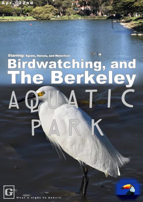 The Berkeley Aquatic Park official trailer poster