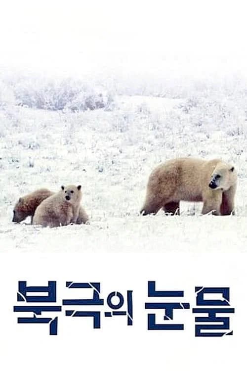 Tears in the Arctic official trailer poster