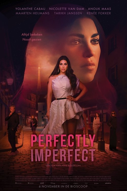 Perfectly Imperfect official trailer poster
