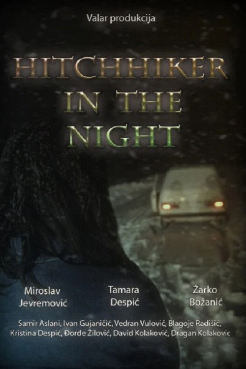 Hitchhiker in the night official trailer poster