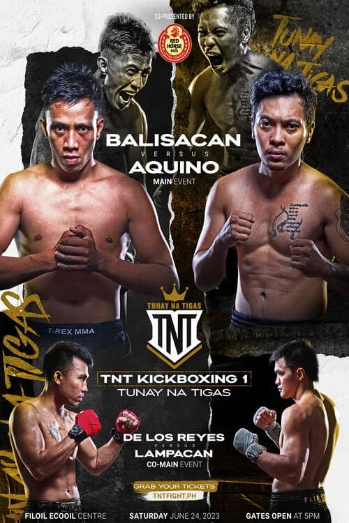 TNT Kickboxing 1 official trailer poster