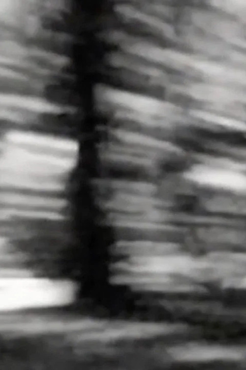 Moored Shadow official trailer poster