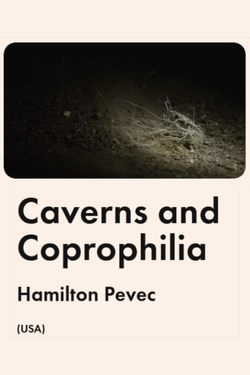 Caverns and Coprophilia official trailer poster