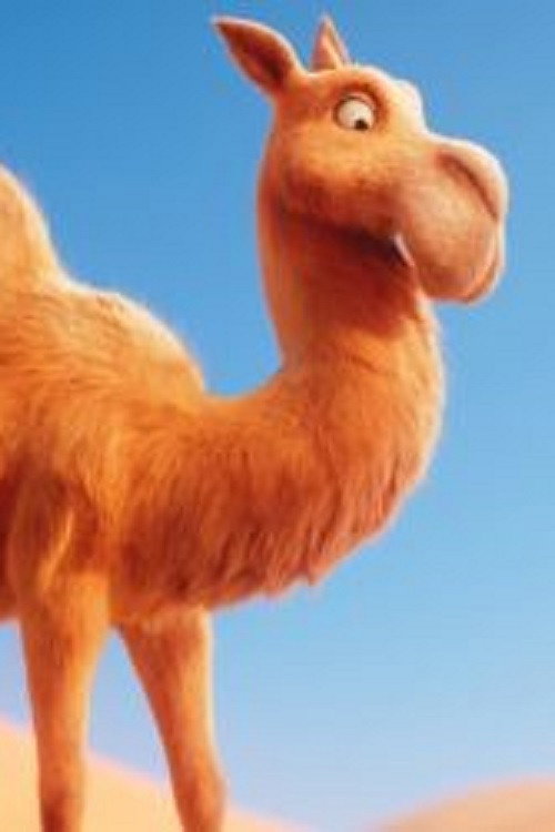 Itchy the Camel: Tennis Ball official trailer poster
