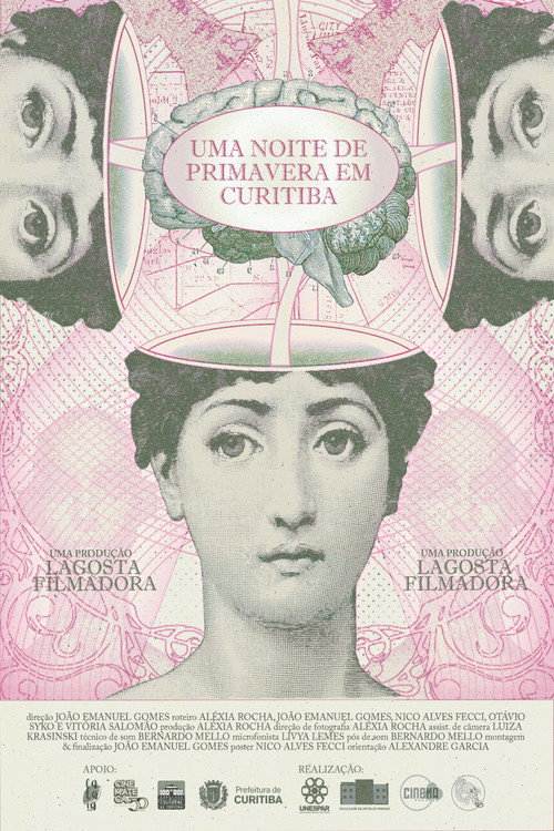 Uma noite de primavera em Curitiba official trailer poster