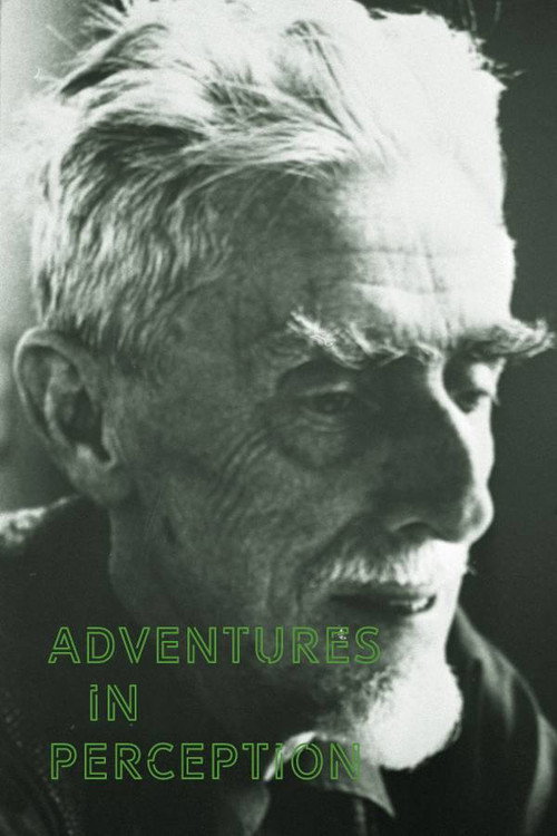 Adventures in Perception official trailer poster