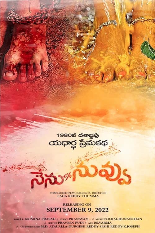 Nenu C/o Nuvvu official trailer poster
