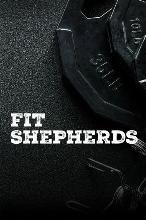 Fit Shepherds official trailer poster