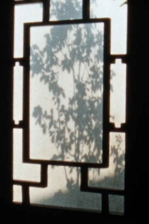 Shanghai Notebook official trailer poster