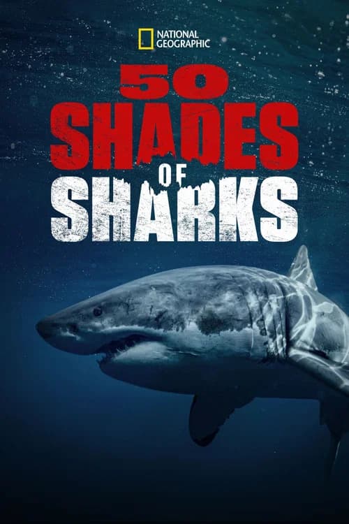 Cinquante nuances de requins official trailer poster