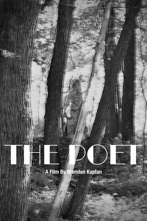 The Poet official trailer poster
