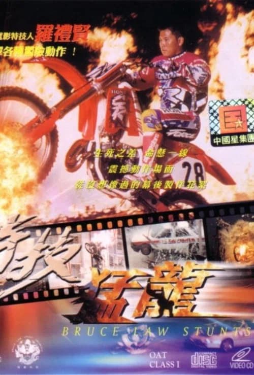 Bruce Law Stunts official trailer poster