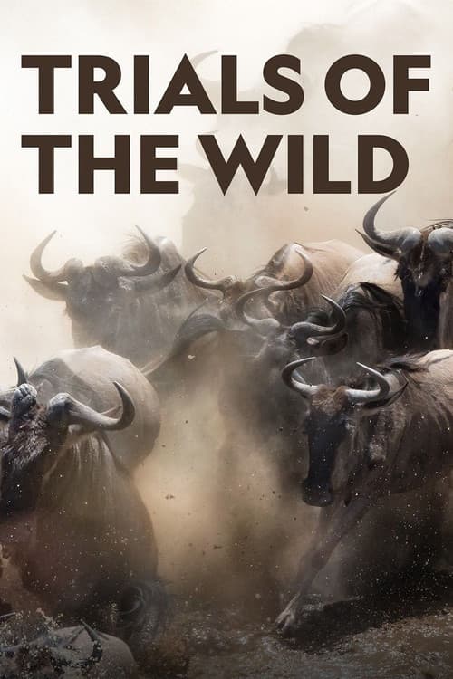 Trials of the Wild official trailer poster
