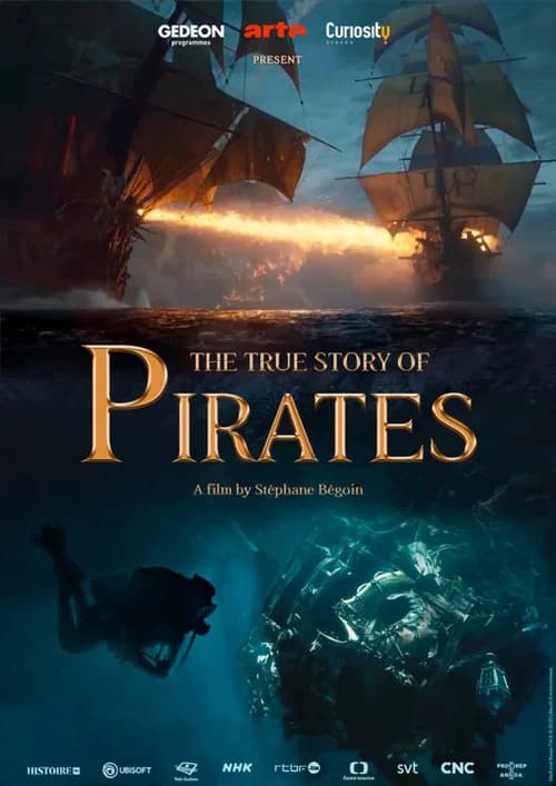 The True Story of Pirates official trailer poster