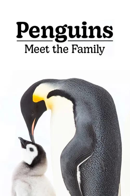 Penguins: Meet the Family official trailer poster