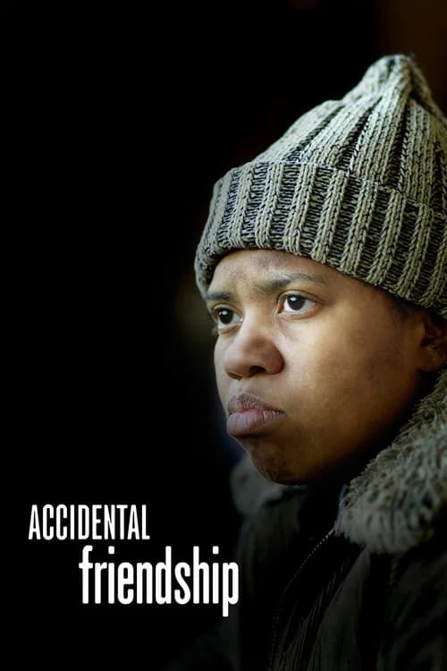 Accidental Friendship official trailer poster