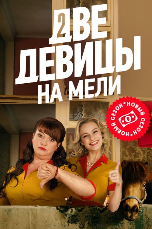 Two Broke Girls official trailer poster